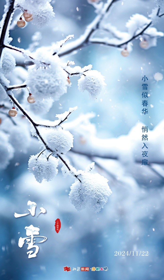 20241122小雪.jpg