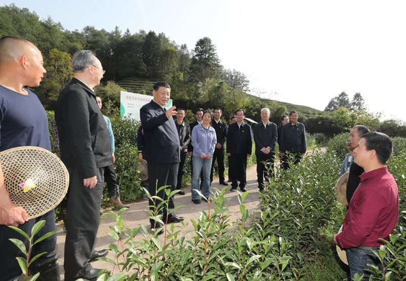 2021年3月22日，習(xí)近平總書記在福建南平武夷山市星村鎮(zhèn)燕子窠生態(tài)茶園，同科技特派員、茶農(nóng)親切交流，了解當(dāng)?shù)夭璁a(chǎn)業(yè)發(fā)展情況。