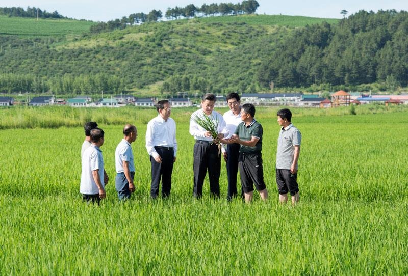 2015年7月16日，習(xí)近平總書記在吉林延邊州光東村稻田同村民和農(nóng)技人員交流。