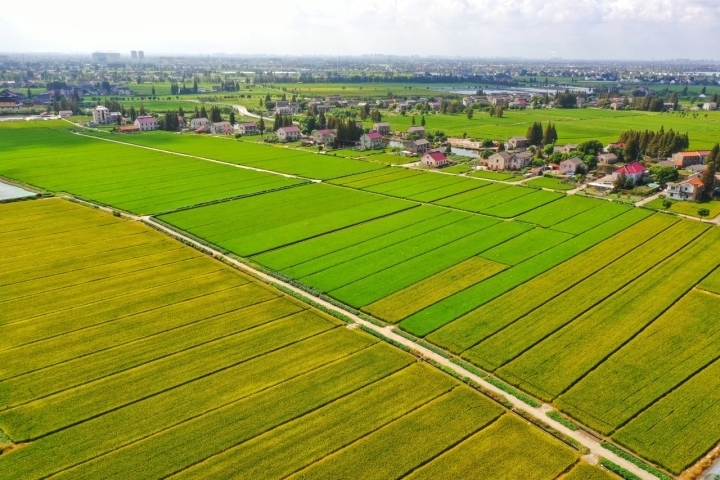 嘉興市高標(biāo)準(zhǔn)農(nóng)田航拍