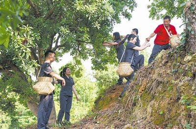 村民幫助志愿者爬上山坡。