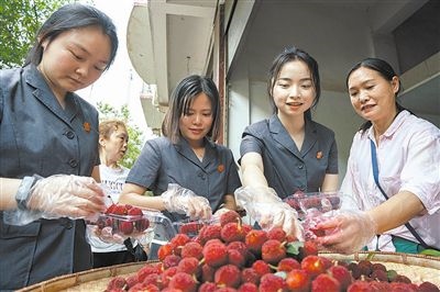 志愿者和村民一起將摘下的楊梅裝進(jìn)食品盒里。