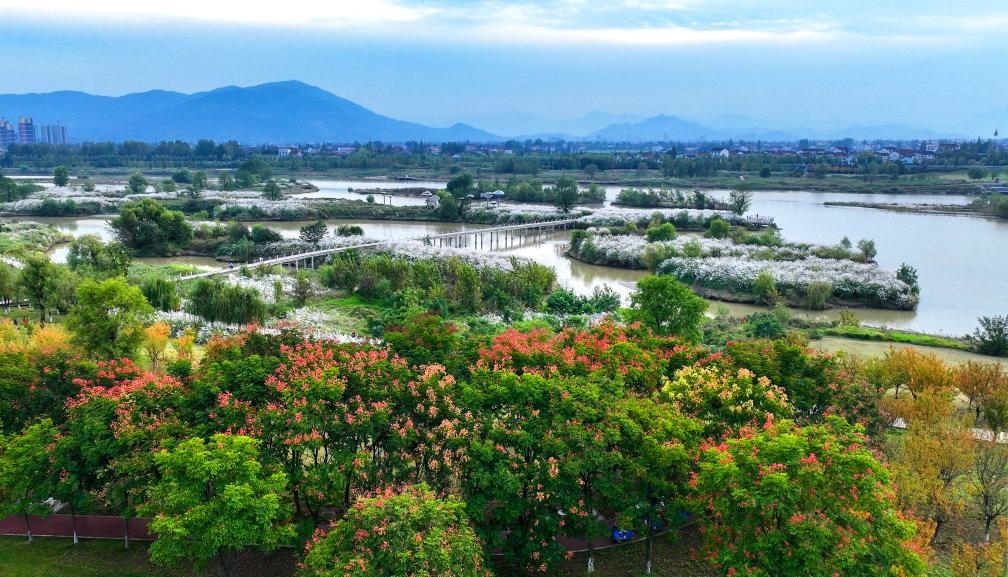 2022年10月11日拍攝的天漢濕地公園景色。新華社發(fā)（宋曉麗 攝）