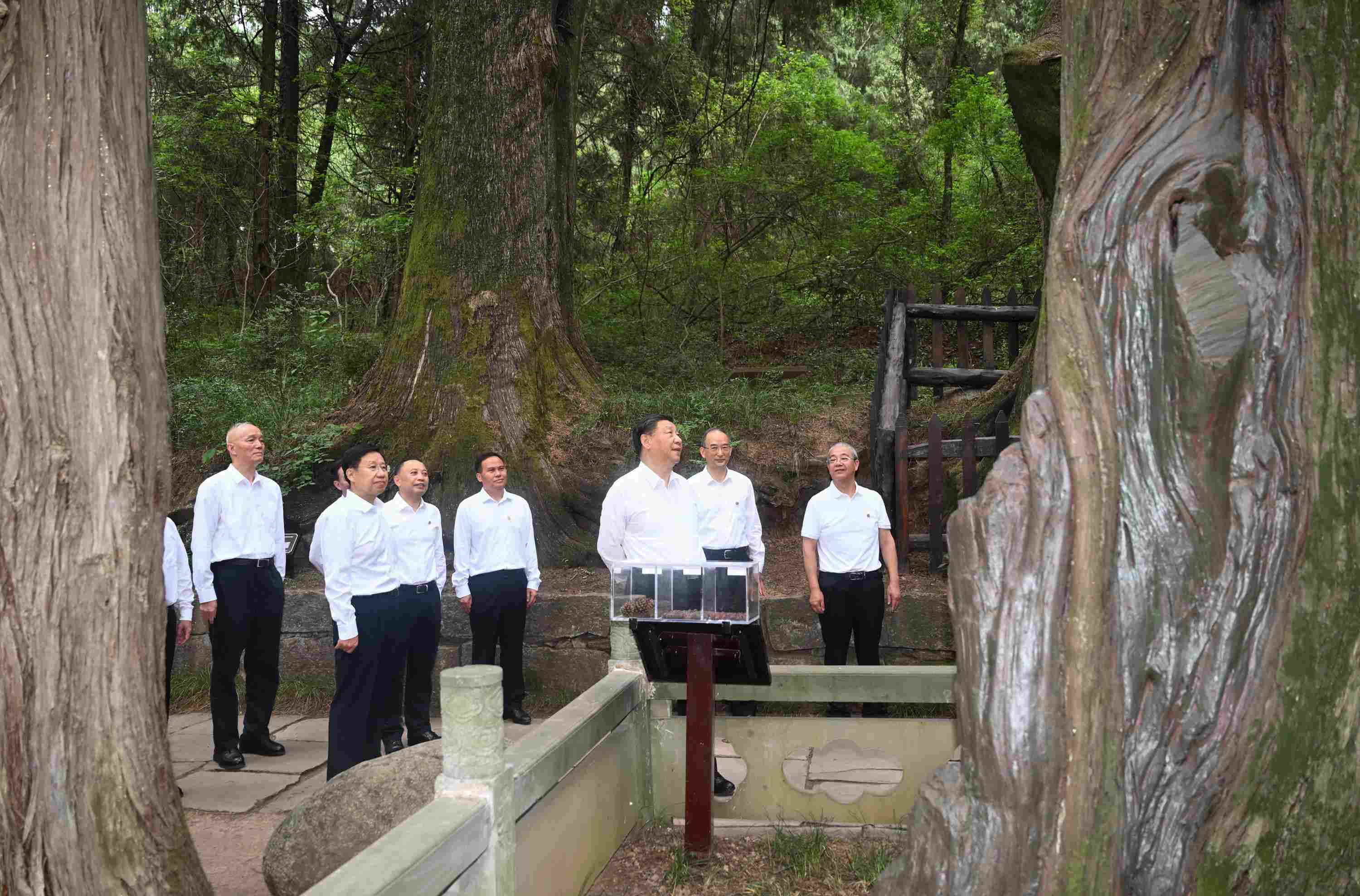 △2023年7月25日，習(xí)近平總書記在四川省廣元市考察了翠云廊古蜀道，了解當(dāng)?shù)赝七M(jìn)歷史文化傳承、加強(qiáng)生態(tài)文明建設(shè)等情況。