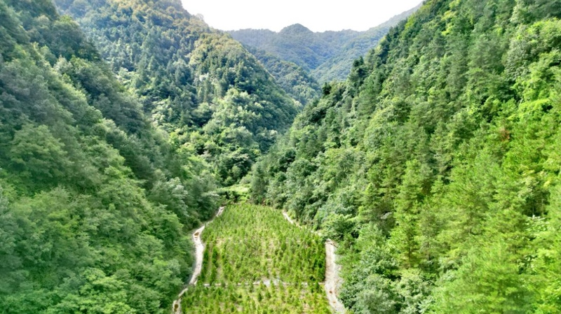 建設中的西氣東輸三線中段。受訪者供圖