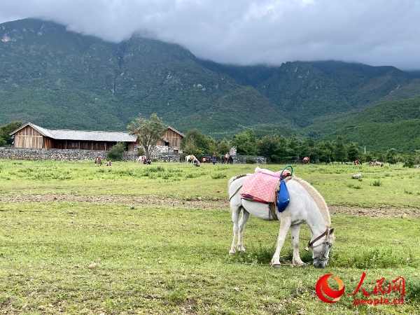 玉湖村附近草甸。人民網(wǎng) 周靜圓攝