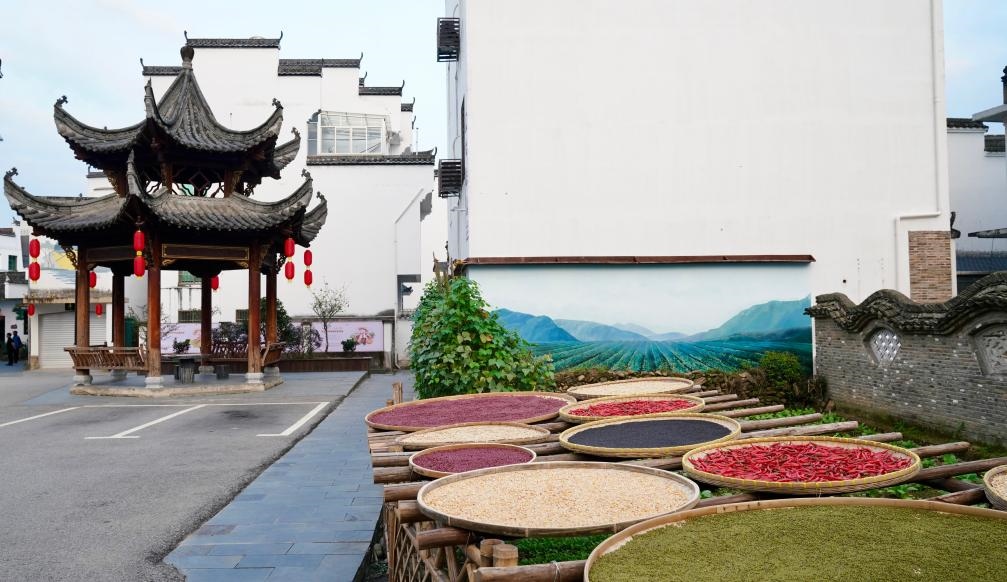近日拍攝的江西省上饒市婺源縣秋口鎮(zhèn)王村石門(mén)自然村曬秋場(chǎng)景。新華社記者 胡晨歡 攝