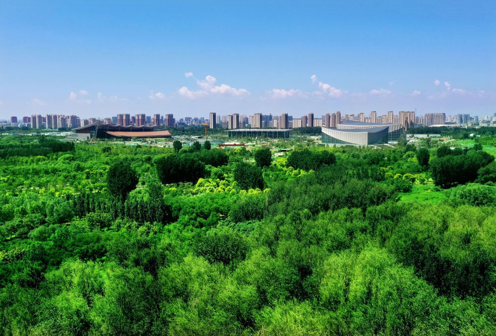 北京東方化工廠舊址建成的綠心公園草木蔥蘢。（馬文曉 攝）