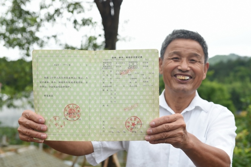 福建武平縣萬安鎮(zhèn)捷文村村民李桂林展示林權(quán)改革后領(lǐng)到的全國第一本新式林權(quán)證。