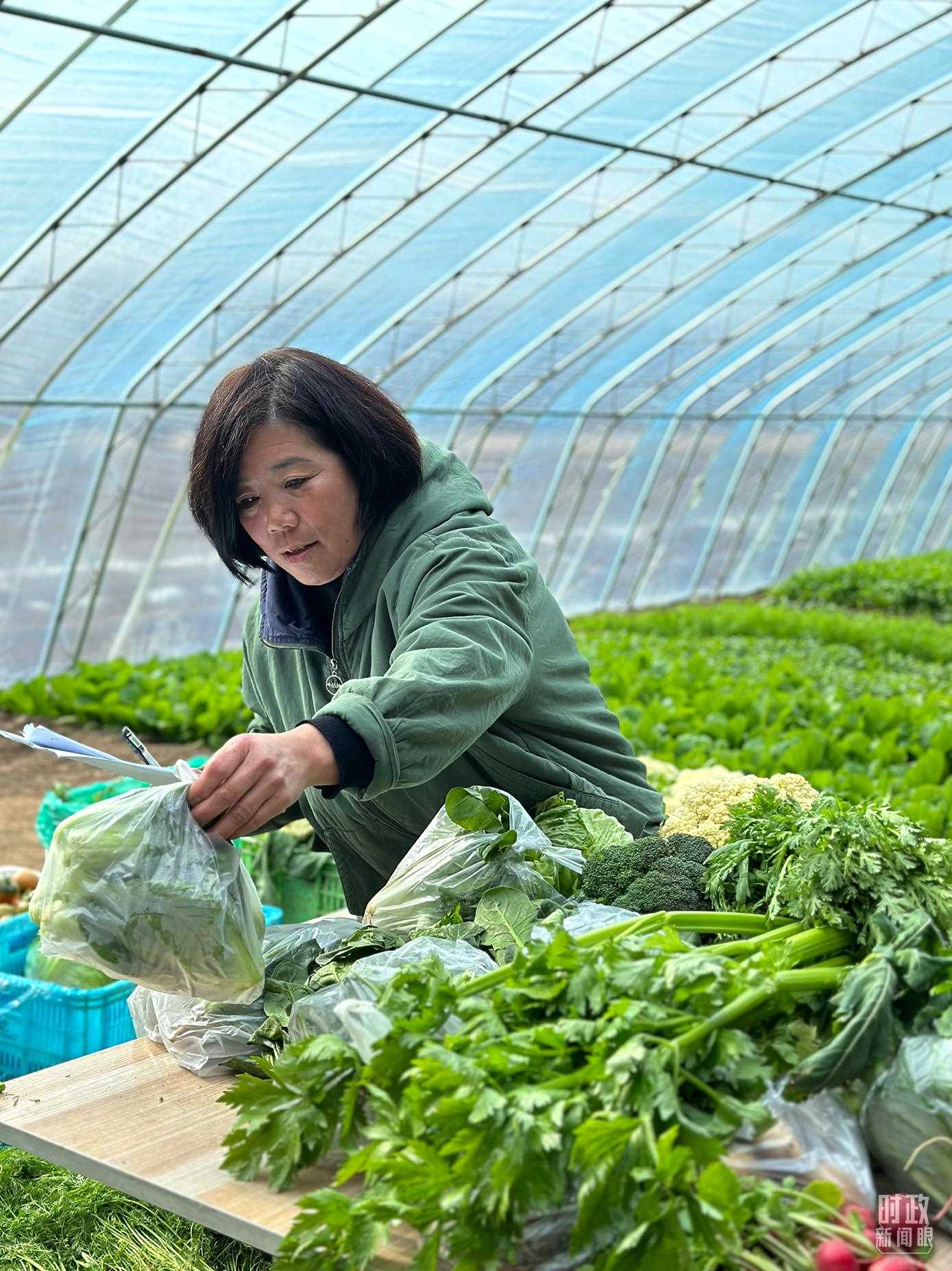 △第六埠村村民正在打包分裝蔬菜。（總臺央視記者盧心雨拍攝）