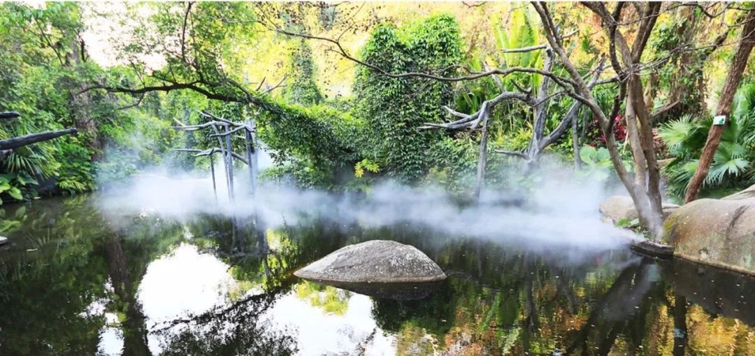 △鼓浪嶼-萬石山風(fēng)景名勝區(qū)重要組成部分廈門園林植物園熱門景點(diǎn)“雨林世界”。