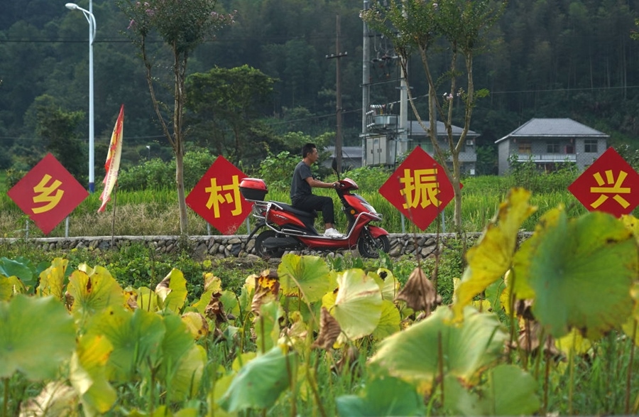 2023年8月24日拍攝的江西省靖安縣璪都鎮(zhèn)港背村一景。該村在當(dāng)?shù)卣С窒?，修古建，建民宿，搞開發(fā)，引進(jìn)竹筏漂流、觀光采摘、農(nóng)耕體驗(yàn)、森林研學(xué)等多種旅游業(yè)態(tài)，建成新田園生態(tài)度假小鎮(zhèn)，發(fā)展鄉(xiāng)村旅游，走上致富路。