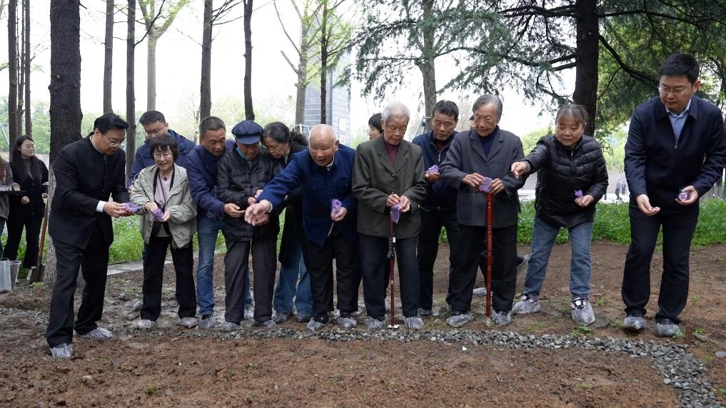 南京大屠殺幸存者代表、死難者遺屬代表等在紀(jì)念館的和平公園里，播撒下紫金草的種子。新華社記者林凱 攝