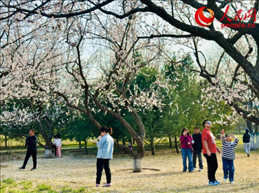 游客在北京長陽公園賞花。人民網(wǎng)記者 劉微攝