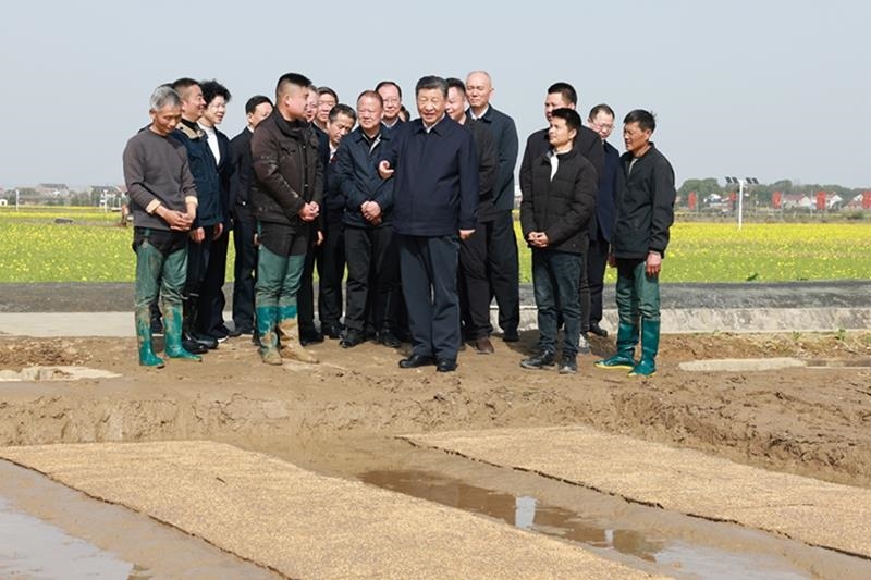 △2024年3月19日，在湖南常德市鼎城區(qū)謝家鋪鎮(zhèn)港中坪村，習(xí)近平總書記走進(jìn)田間，察看秧苗培育和春耕備耕進(jìn)展。