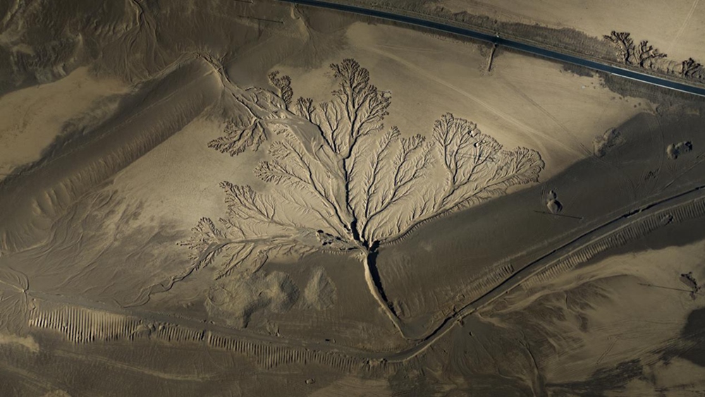 無(wú)人機(jī)視角下的西藏阿里地區(qū)改則縣“大地之樹”景觀。尼瑪多吉攝