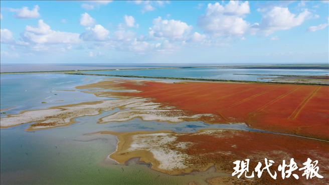 鹽城黃海濕地