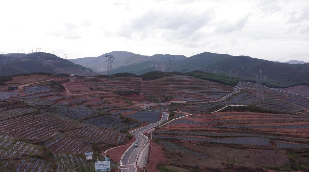 火普村的藍莓基地一角（無人機照片）。新華社記者 尹恒 攝