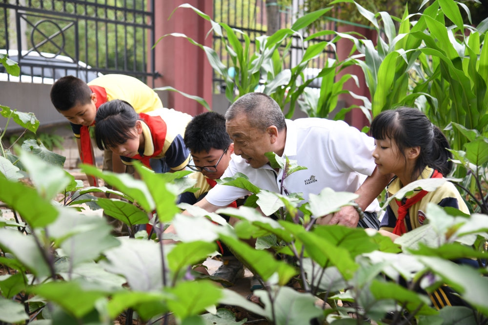 5月31日，老師帶領學生在之江小學勞動實踐基地學習蔬菜知識。新華社記者 胥冰潔 攝