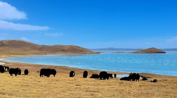 在三江源國(guó)家公園黃河源園區(qū)拍攝的扎陵湖風(fēng)光（2022年3月12日攝）。新華社記者 呂雪莉 攝