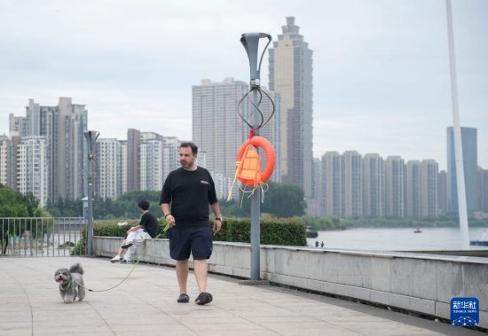 7月20日，在安徽蕪湖市，馬丁在長(zhǎng)江邊遛狗。新華社記者 傅天 攝