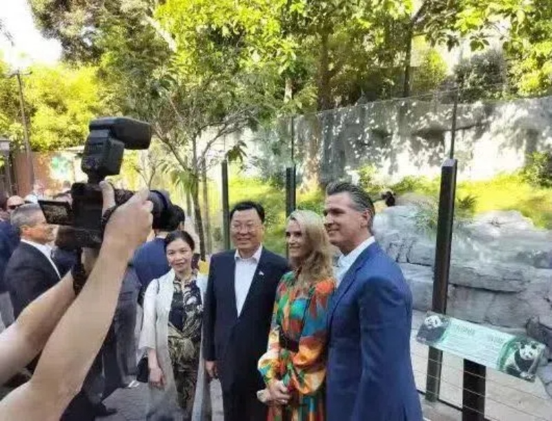 謝鋒大使及夫人與加州州長(zhǎng)紐森夫婦在圣迭戈動(dòng)物園大熊貓館前合影。圖片為中國(guó)駐美大使館提供