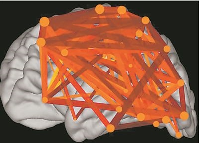 圖上的線(xiàn)條代表大腦皮層中與語(yǔ)言處理相關(guān)的各個(gè)區(qū)域之間的連接。當(dāng)閱讀時(shí)，這些區(qū)域的神經(jīng)元會(huì)以精確同步的方式激發(fā)，這種現(xiàn)象被稱(chēng)為共同漣漪。圖片來(lái)源：加州大學(xué)圣迭戈分校