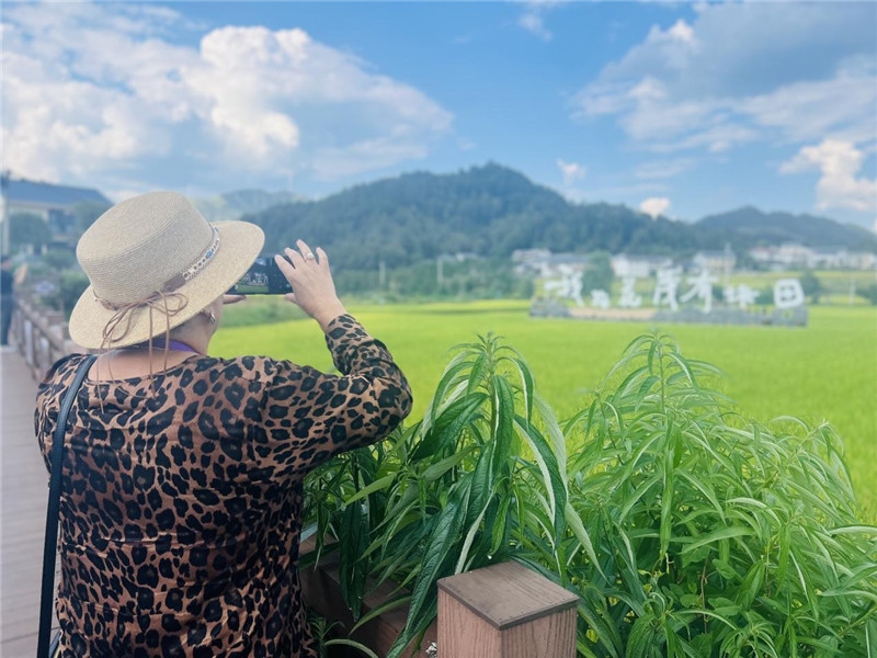 “我在花茂有塊田”，不僅是中國(guó)人的詩(shī)和遠(yuǎn)方，也是塔吉克斯坦“阿維斯塔”通訊社總編輯占納特洪·庫(kù)爾班諾娃的“烏托邦”。（張亞欣攝）