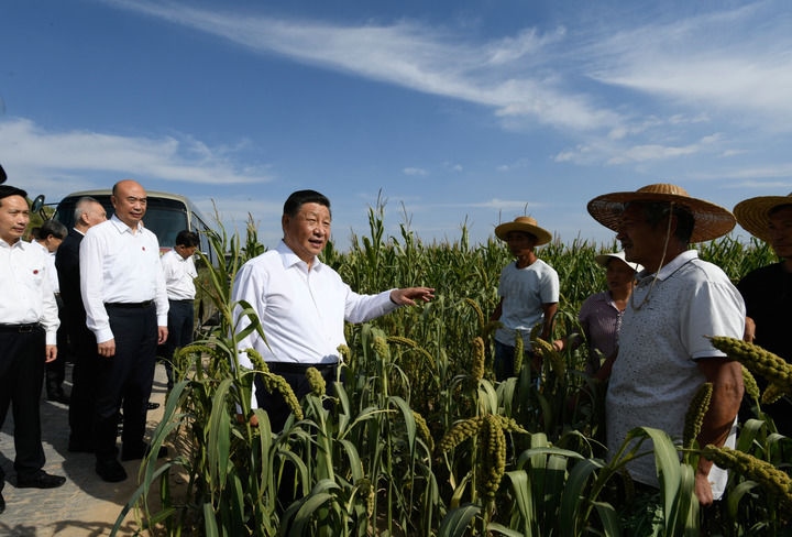 2021年9月13日至14日，中共中央總書記、國(guó)家主席、中央軍委主席習(xí)近平在陜西省榆林市考察。這是13日下午，習(xí)近平在米脂縣銀州街道高西溝村臨時(shí)下車，察看糧食作物長(zhǎng)勢(shì)，同正在田間勞作的老鄉(xiāng)拉家常。新華社記者 李學(xué)仁 攝