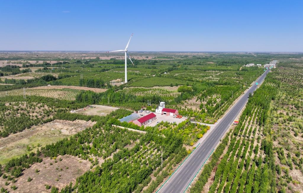 在內(nèi)蒙古通遼市，科爾沁沙地正漸漸披上綠裝。新華社記者連振 攝