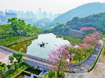 無人機(jī)在深圳塘朗山郊野公園里巡檢。新華社發(fā)